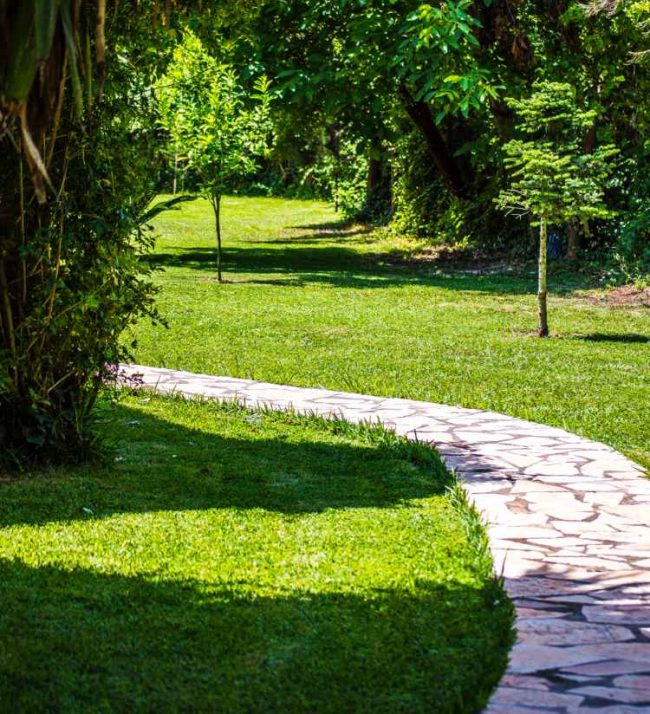 folies corfu gallery