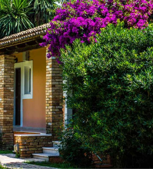 folies corfu gallery